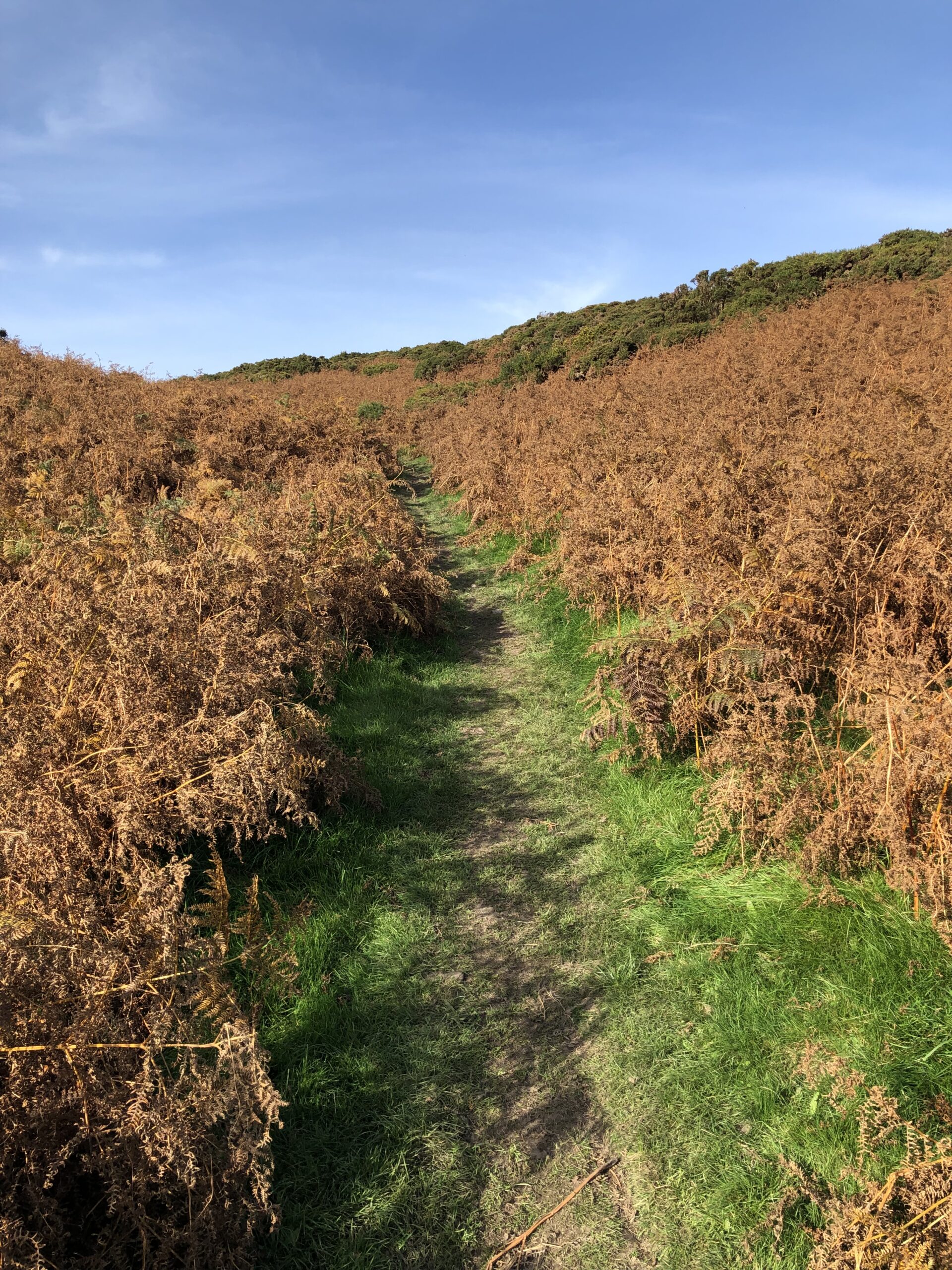 Sugarloaf Loop The Great Sugar Loaf Loop - Wild Irish Walks