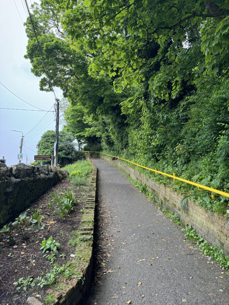 A path leading up a hill with trees to the right. The view to the left of the path is unclear but you can see bus stops and telephone wires indicating it is probably a busy road.
