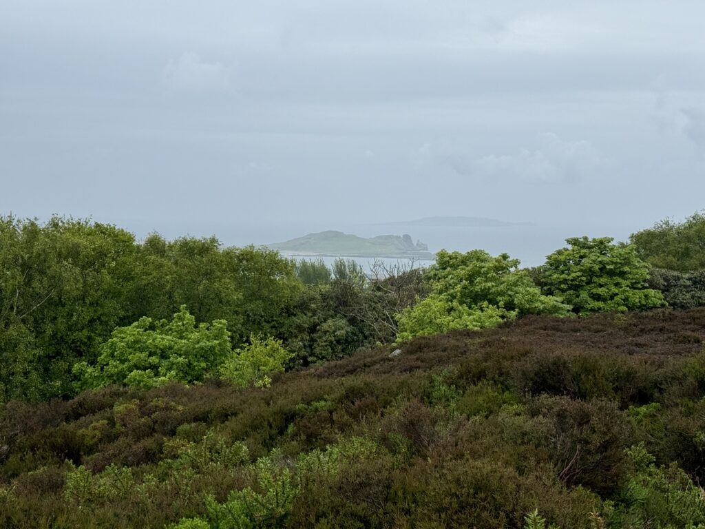 A view over the treetops out to the Irish Sea with Ireland’s Eye and Lambay Islands shrouded in mist in the background.