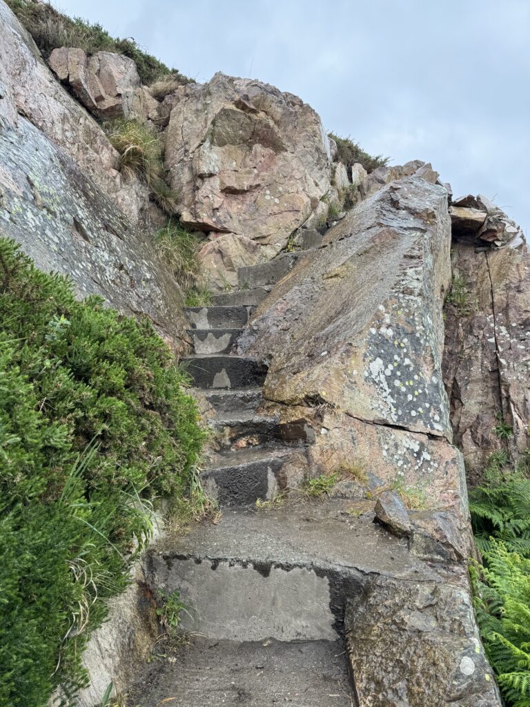 Steps leading upwards have been hewn into a rocky cliff.