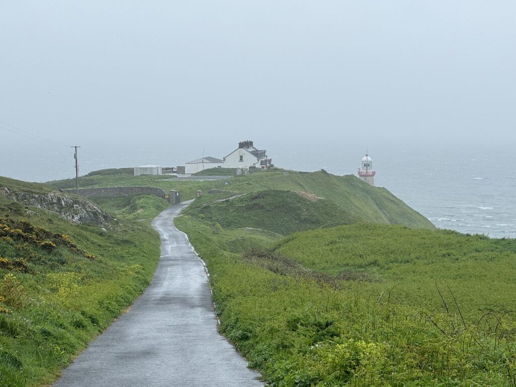 The path leading down to the Baily Lighthouse. Green grass and gorse bushes on either side of the path. In the distance you can see buildings and the top of the actual lighthouse. Dark skies overhead.