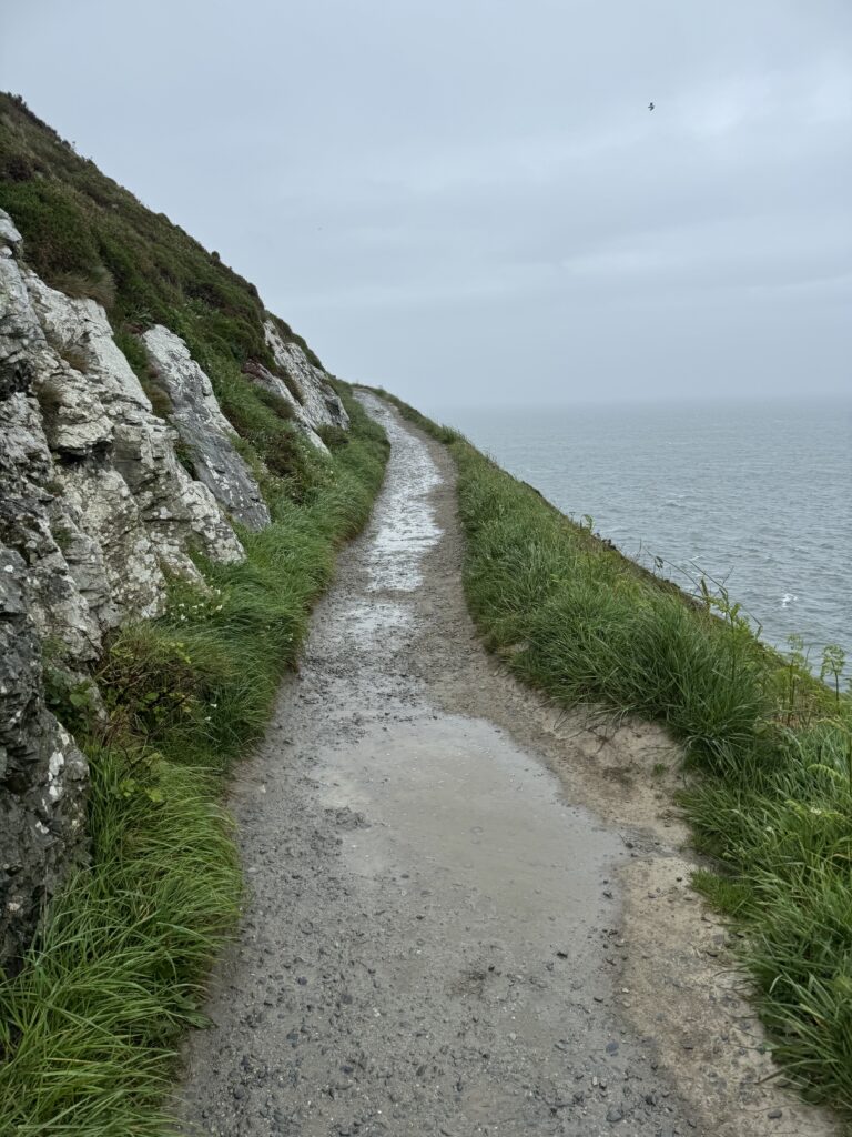 A path along the cliff. High rocks on the left and a sheer sheer drop to the sea on the right.