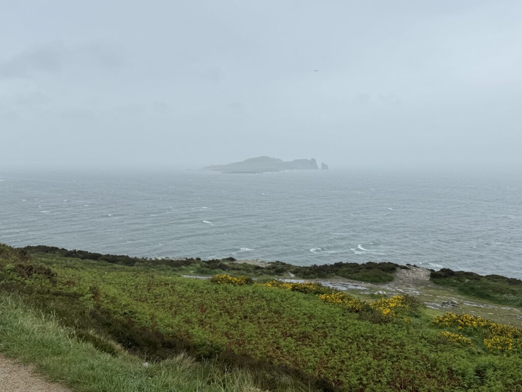 A view of Ireland’s Eye Island. There is green and yellow gorse bushes up the cliff edge. Then grey seas with the island shrouded in mist in the background of the picture.