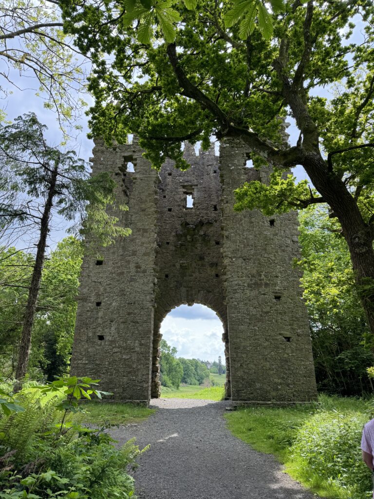An archway between two stone towers. A green tree in front of the archway blocks out the sunshine over the stone structure.