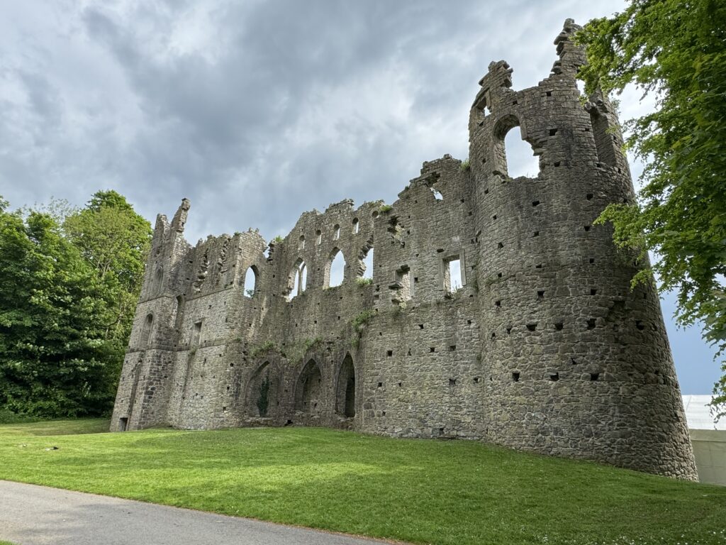 A close up of the other side of the Jealous Wall.
The wall is crumbling at the top. Gaps denoting windows and doors are interspersed at various heights along the wall. The wall is a tall as the high trees to the left and right of it.