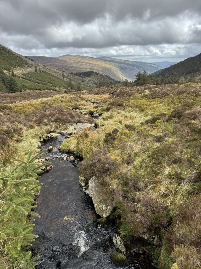 The Conavalla and Camenabologue Hike