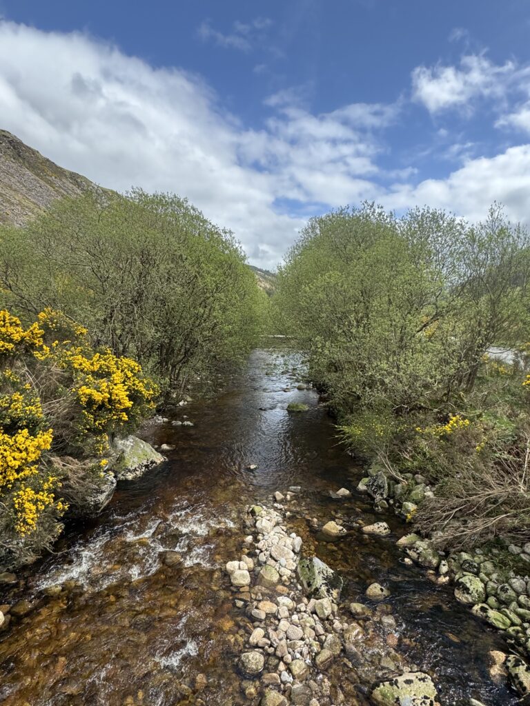 A gentle stream flows between clusters of leafy green trees, framed by blooming yellow gorse on the left. The sky is bright and scattered with clouds, capturing a tranquil moment at the start of the Conavalla and Camenabologue hike.