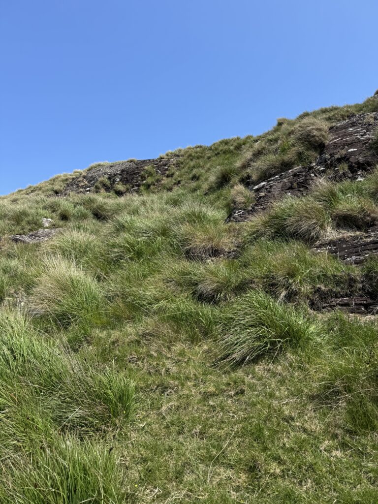 Steep grassy slope with patches of rock under a clear blue sky, showing tough terrain encountered when climbing Barrclashcame.
