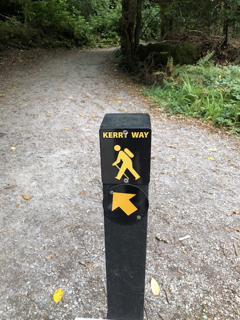 Kerry Way walking route marker on a woodland trail near Killarney