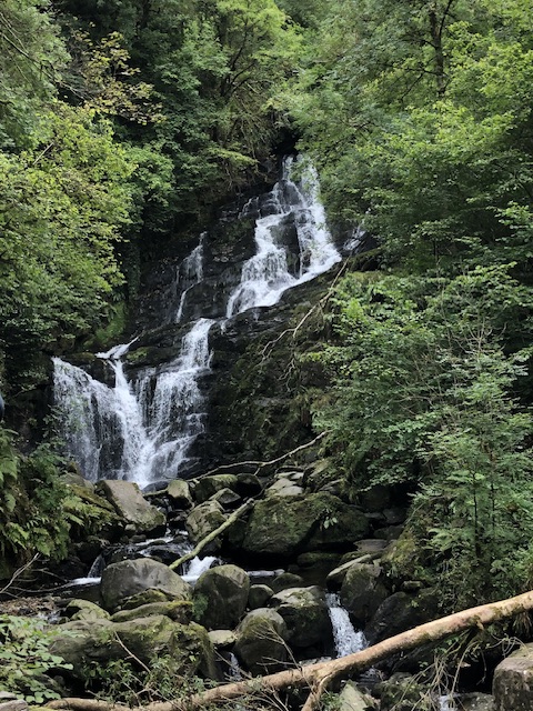Torc Waterfall on the Muckross House walking route in Killarney National Park - one of the best walks in Killarney