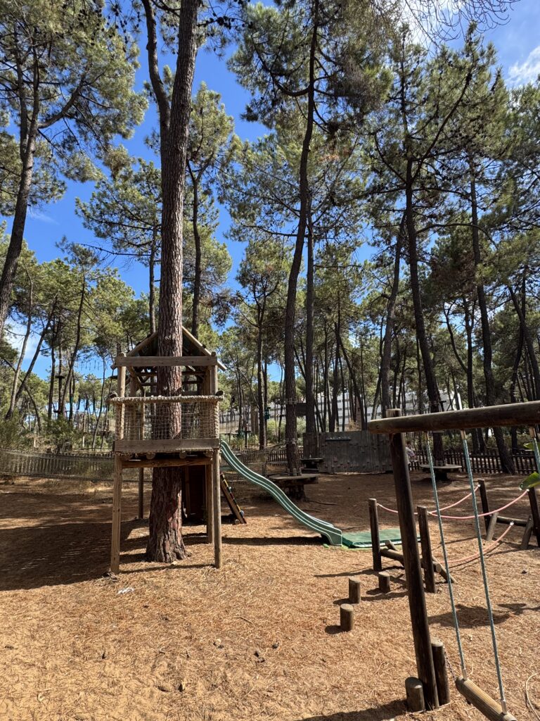 Swings and slides in a forest setting. Blue skies overhead.