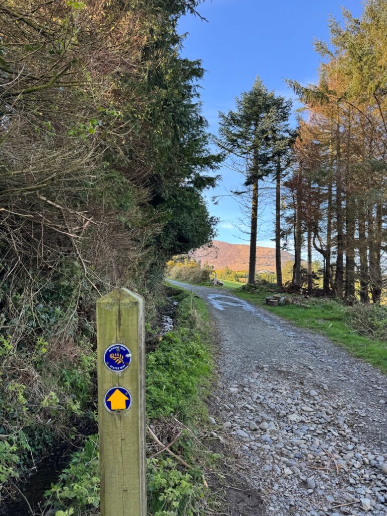 Ulster Way and Mourne Way waymarker along Trassey Track on the approach to Hare’s Gap.