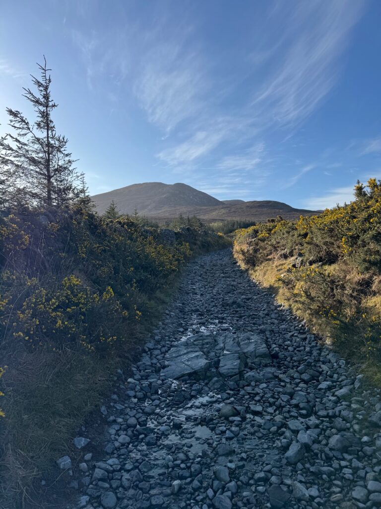 First mountain views along the Slieve Bearnagh Hike as Trassey Track approaches the Mourne foothills.