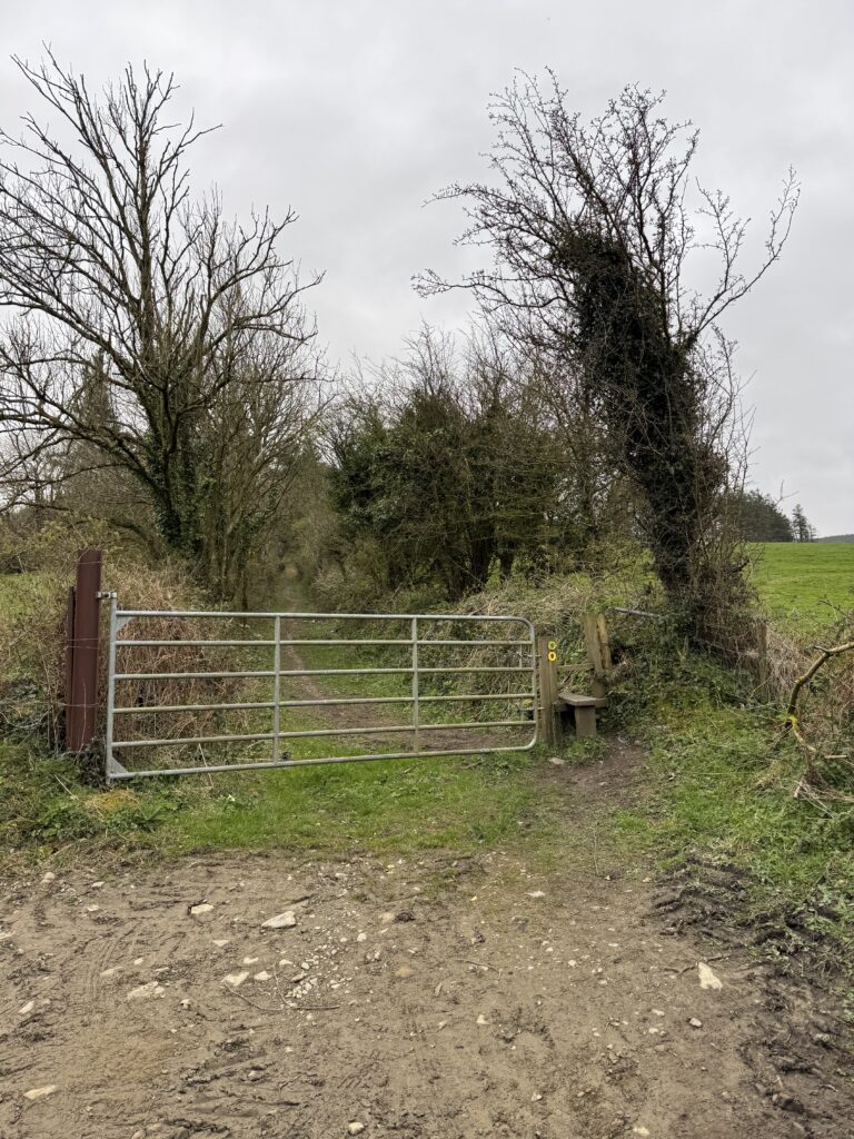 Temple Hill Walk trailhead with a metal farm gate, wooden stile and muddy path leading between hedgerows and bare trees.