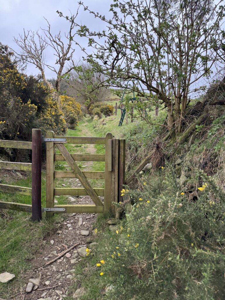 Temple Hill Walk trail passing through a wooden gate between grassy banks, gorse bushes and trees.