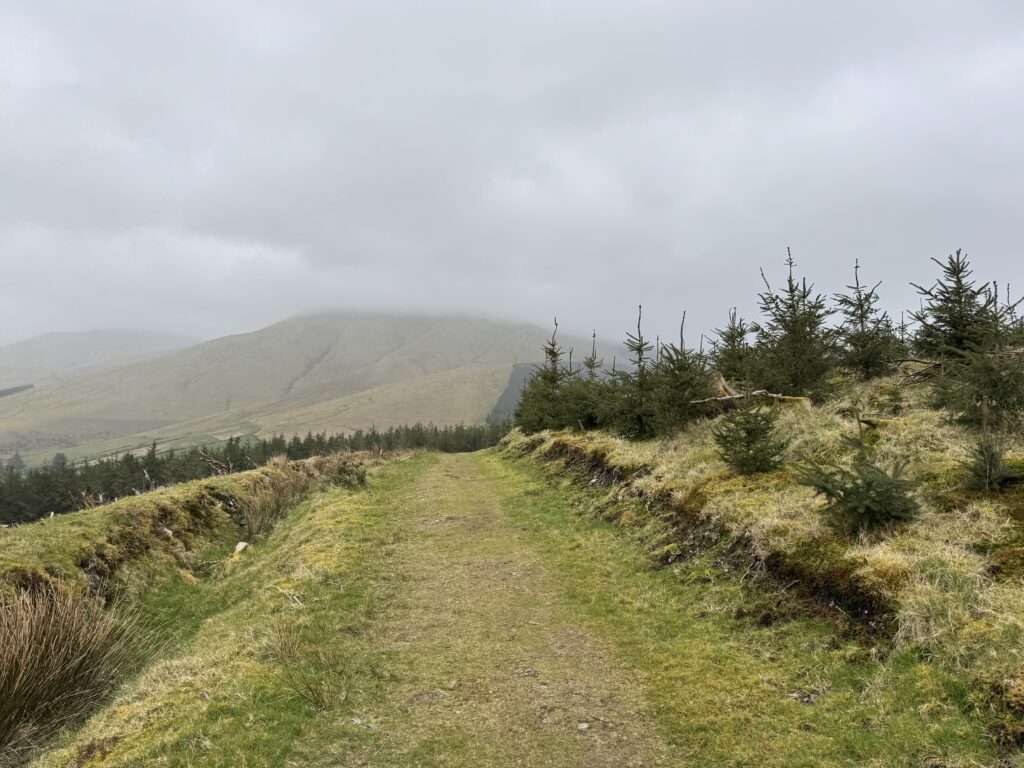 Temple Hill Walk in the Galtee Mountains