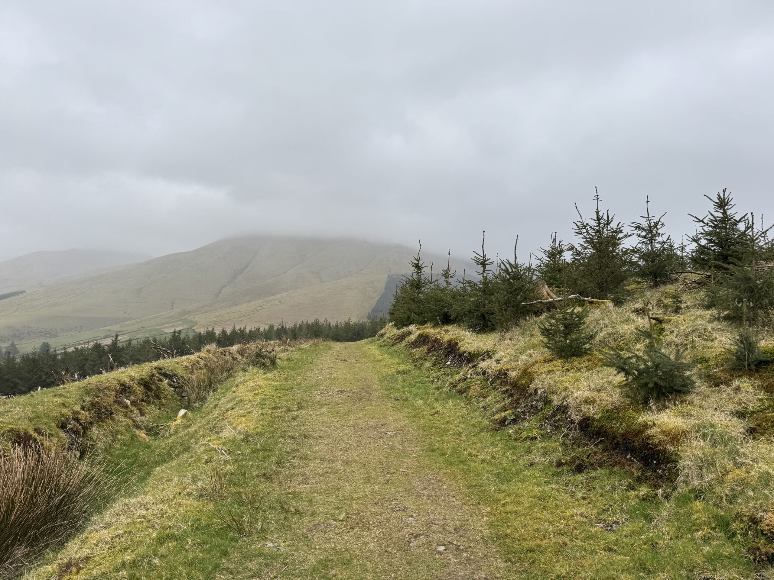 Temple Hill Walk in the Galtee Mountains