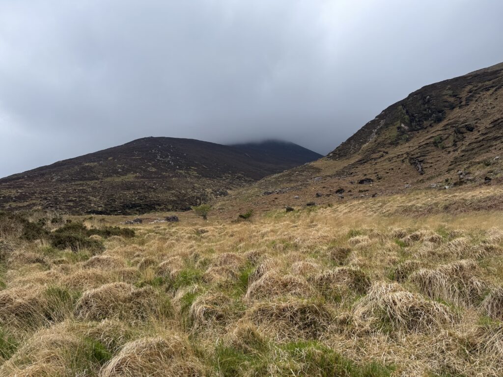 Caherconree and Baurtregaum Loop route through Derrymore Glen, with rough grassland in the foreground and low cloud covering the mountain ridge ahead.