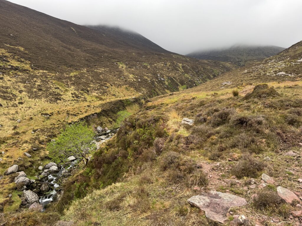 Caherconree and Baurtregaum Loop trail through Derrymore Glen, with the river below on the left, a narrow path on higher ground and low cloud covering the mountains ahead.