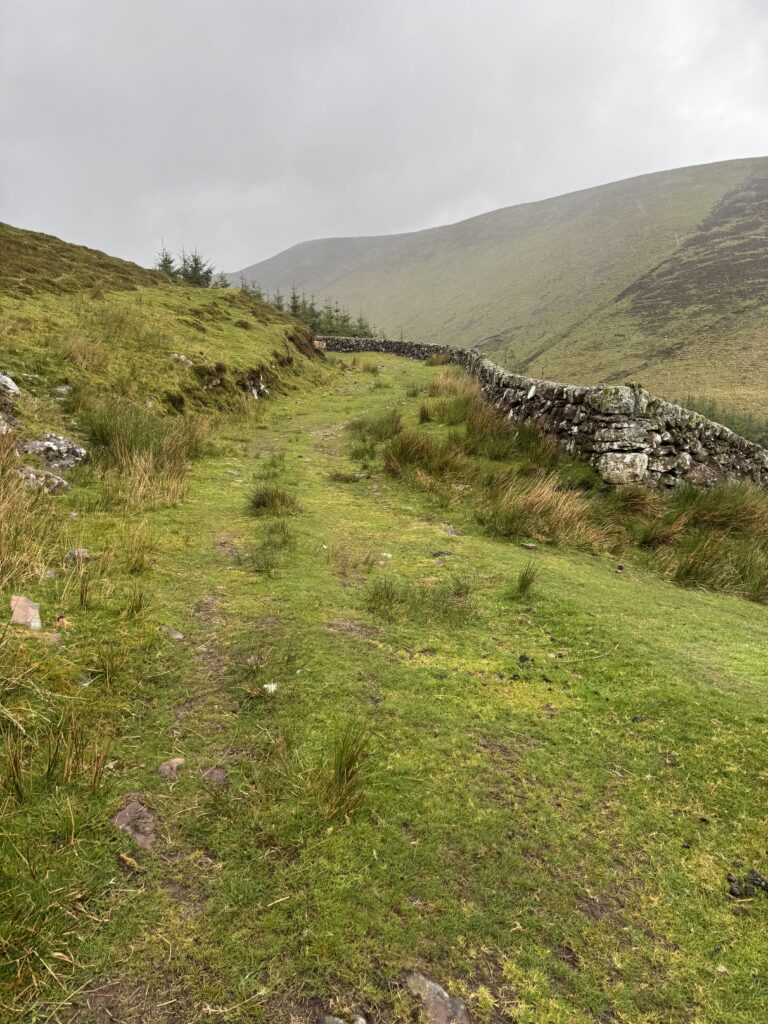 Wide grassy track climbing through the Galtee Mountains beside a traditional dry-stone wall, with open mountain slopes rising ahead under a cloudy sky.
