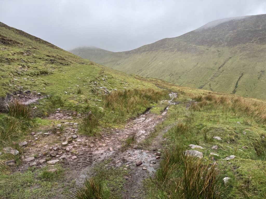 Fork in the mountain track on the Lyracappul Loop, with a higher grassy path branching left and a muddier lower route continuing through the Galtee Mountains.