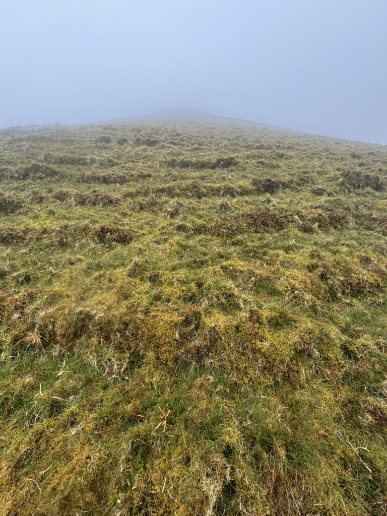 Pathless grassy ascent on the Lyracappul Loop, climbing towards a mist-covered ridge over rough, uneven mountain ground in the Galtee Mountains.