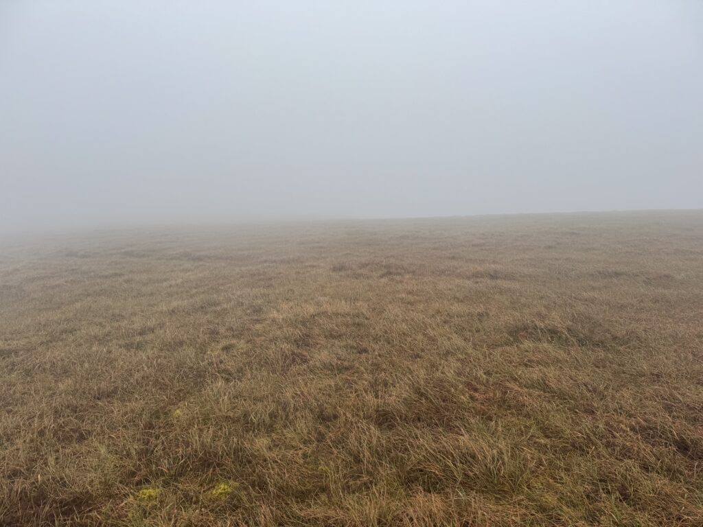 Pathless grassy terrain on the Lyracappul Loop, with the open mountainside disappearing into dense cloud and very limited visibility.